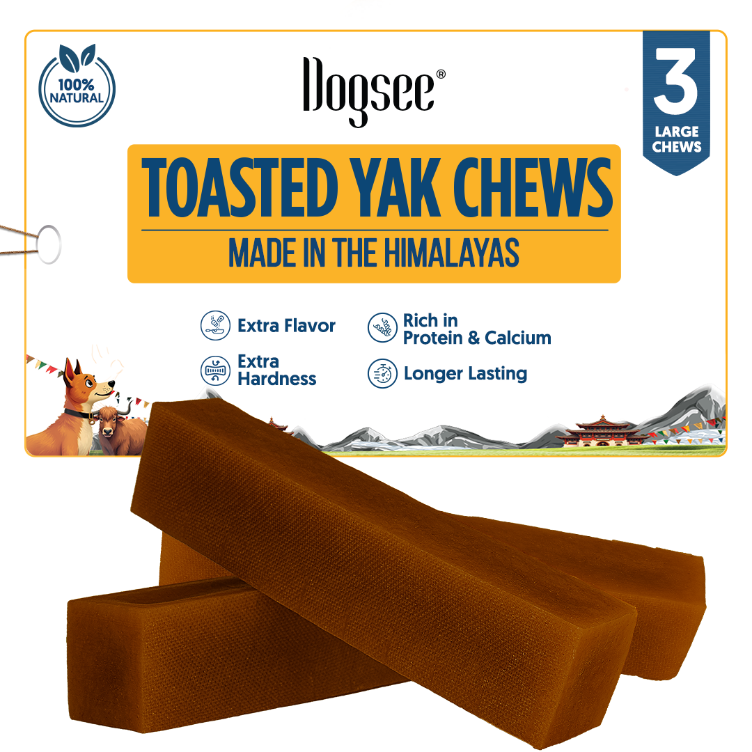 page loading GIF - Dogsee